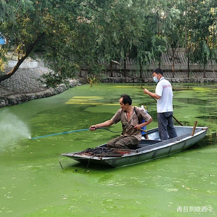 坑塘污水解决方案