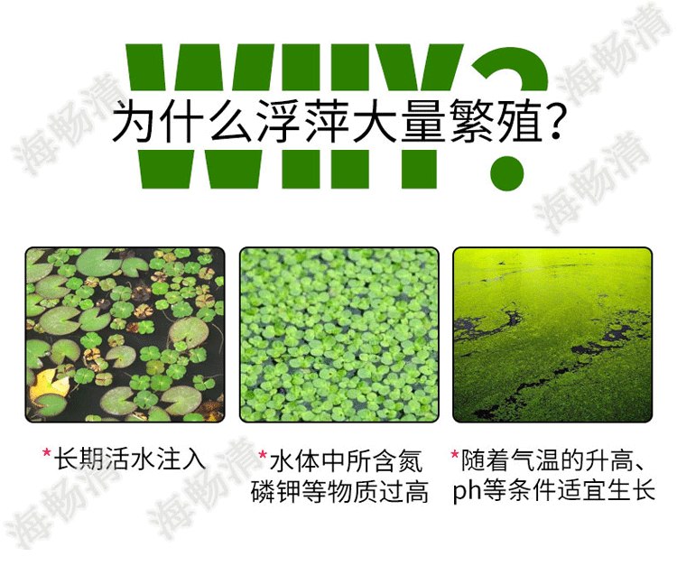 浮萍去除剂