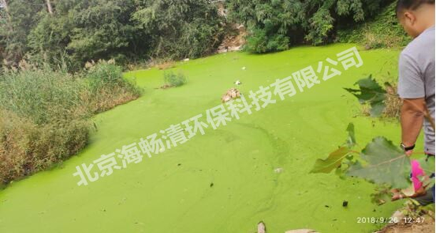 雄安纳污坑塘及重点支干渠水质净化工程项目(第三标段)(图2) 雄安纳污坑塘及重点支干渠水质净化工程项目(第三标段)(图2)