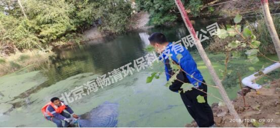雄安纳污坑塘及重点支干渠水质净化工程项目(第三标段)(图3) 雄安纳污坑塘及重点支干渠水质净化工程项目(第三标段)(图3)