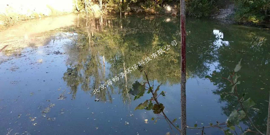 雄安纳污坑塘及重点支干渠水质净化工程项目(第三标段)(图4) 雄安纳污坑塘及重点支干渠水质净化工程项目(第三标段)(图4)