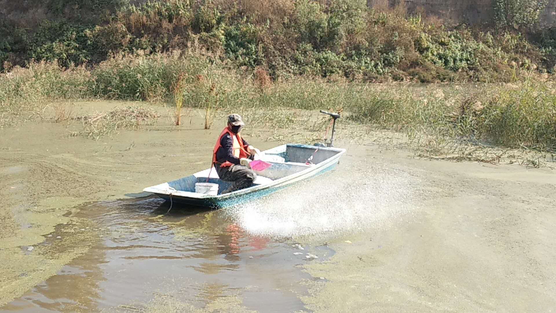 雄安纳污坑塘及重点支干渠水质净化工程项目（第三标段）