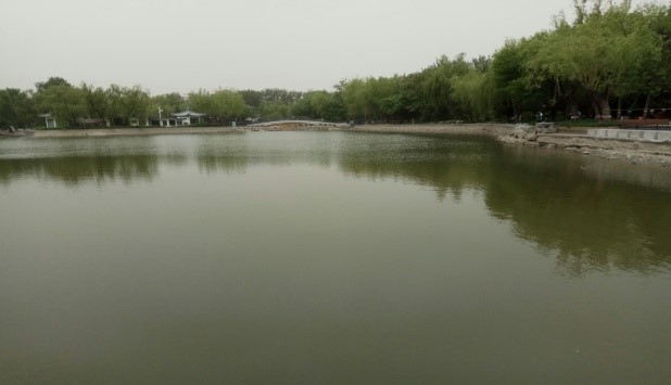 北京青年湖公园人工湖治理案例