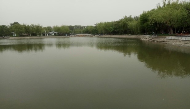 <strong>北京青年湖公园人工湖治理案例</strong>