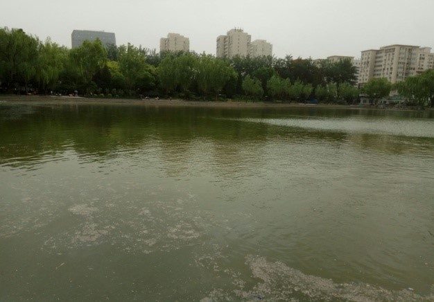 北京青年湖公园人工湖治理案例