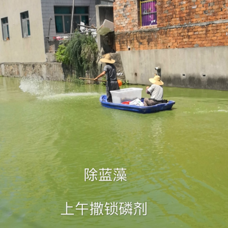 江苏某河道生态修复锁磷剂使用