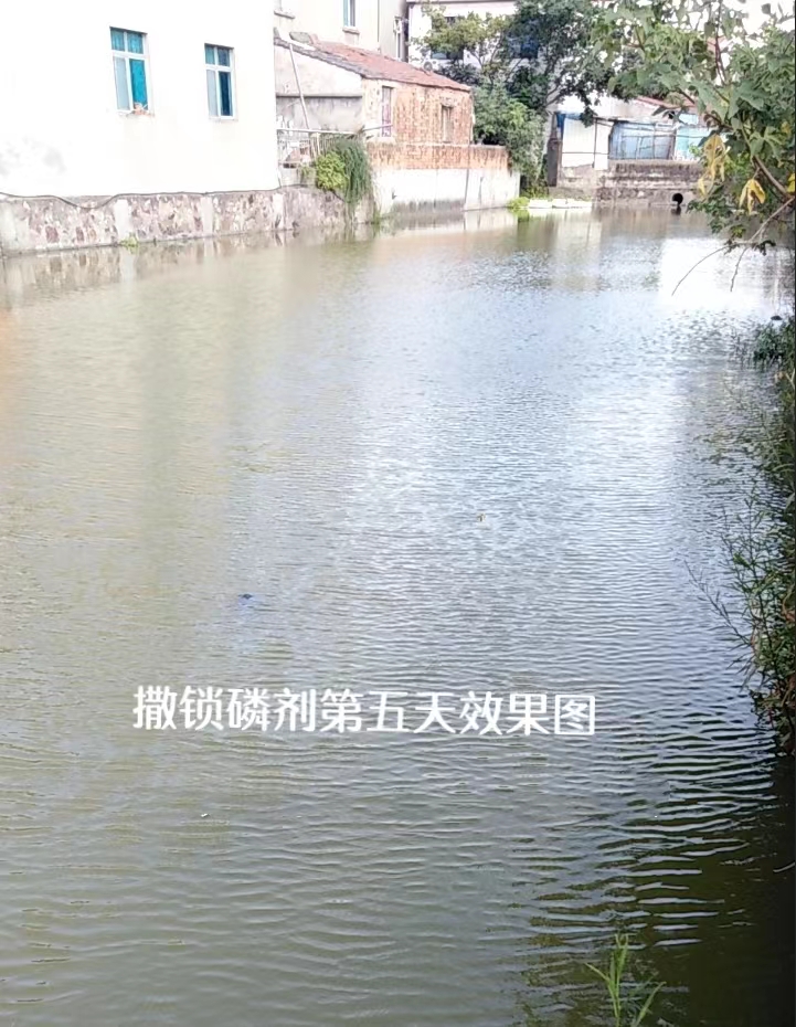河道治理方案