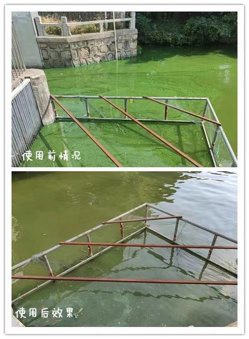<strong>蓝藻分解酶</strong>