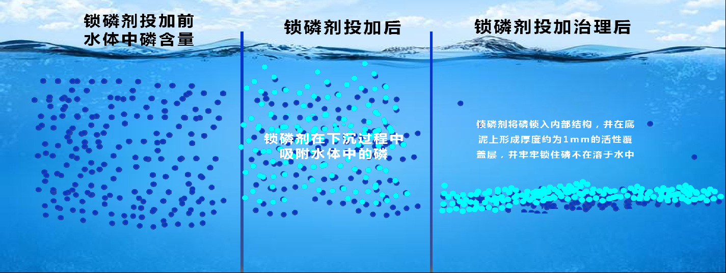 锁磷剂生产厂家